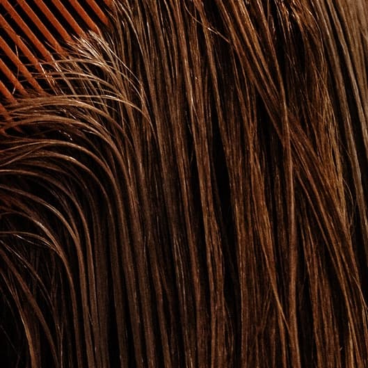 Men's 18.21 Relaxing cut Package at Cre8ive Salon in Maud, TX